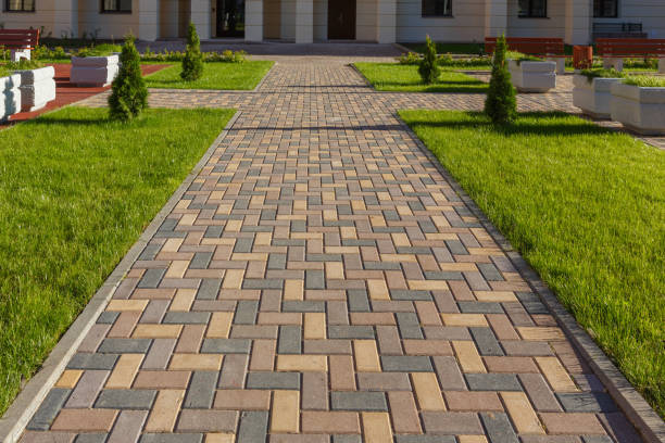 Best Professional Driveway Pavers  in Oak Hill, FL